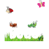 Insect Entomologist Biology