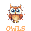 Owl, Bird, Animal, Owls
