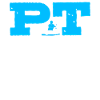 PT Physiotherapy Physiotherapist Job