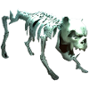 Skelett dog