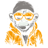Cool jacket, sunglasses, cool monkey