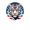 Red white blue Freedom