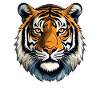 Tiger Face | Tiger Head