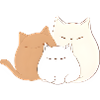 3 chatons