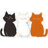 3 chats mignons