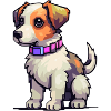 Chiot