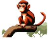 Singe 8 bits
