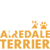Loved By A Airedale Terrier
