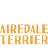 Property Of A Airedale Terrier