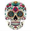 Mexico Vibes