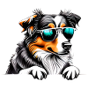 Puppy Australian Shepherd Dog Owner