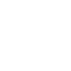 Elephant Skeleton Elephants