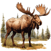 Moose Clipart Design