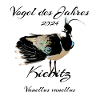Kiebitz, Vogel des Jahres 2024