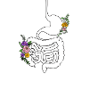 Darm Flower/ Flora