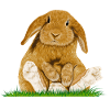 Easter Bunny