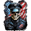 U.S. Police Operations