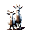 GOATS II