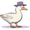 Duck with hat