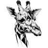 Giraffe Kopf