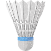Shuttlecock