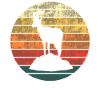 Einsame Bergziege - Königin der Höhen