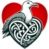 Herring Gull Heart