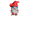 What The Gnome Christmas Gnome