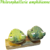 Philosophaillerie amphibienne