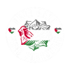 Flag of Palestine Flag