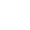 Christmas Shoe