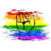 Rainbow flag fist used