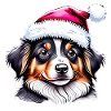 Australian Shepherd Christmas Dog Owner