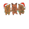 Capybara Christmas Winter Animals Capybara