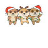 Meerkat Christmas Winter Animals Meerkat