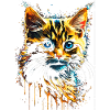 KITTEN