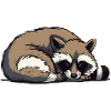 Sleeping raccoon