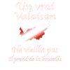 Un vrai valaisan bouteille