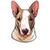 Chien Bull Terrier