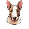 Dog Bull Terrier