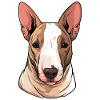 Dog Bull Terrier