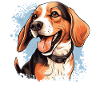 Dog Beagle