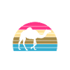 Kamel