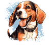 Dog Beagle