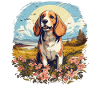 Hund Beagle