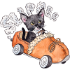 Speeding Slipper