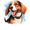 Dog Beagle