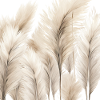 Pampas