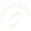 rugby position demi de mêlée