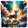 We will meet again!!